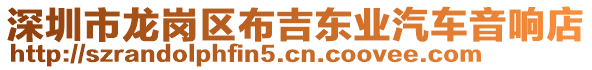 深圳市龍崗區(qū)布吉東業(yè)汽車音響店