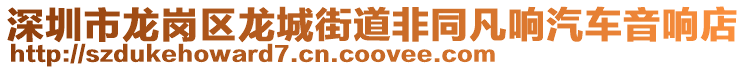 深圳市龍崗區(qū)龍城街道非同凡響汽車音響店