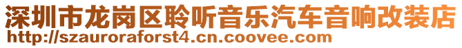 深圳市龍崗區(qū)聆聽音樂汽車音響改裝店