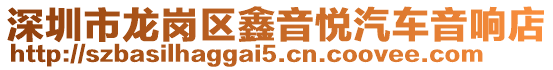 深圳市龍崗區(qū)鑫音悅汽車音響店
