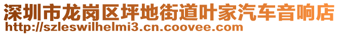深圳市龍崗區坪地街道葉家汽車音響店