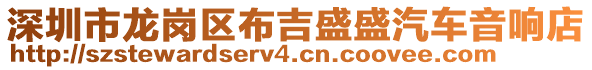 深圳市龍崗區(qū)布吉盛盛汽車音響店