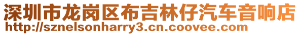 深圳市龍崗區(qū)布吉林仔汽車音響店