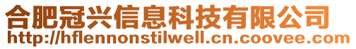 合肥冠興信息科技有限公司