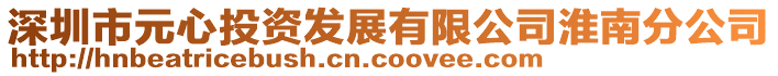 深圳市元心投資發(fā)展有限公司淮南分公司