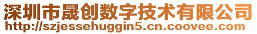 深圳市晟創(chuàng)數(shù)字技術(shù)有限公司