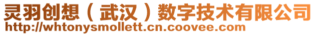 靈羽創想(武漢)數字技術有限公司
