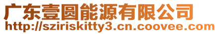 廣東壹圓能源有限公司