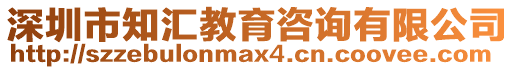 深圳市知匯教育咨詢有限公司