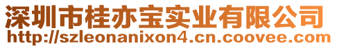 深圳市桂亦寶實業有限公司