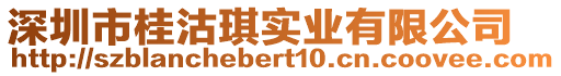 深圳市桂沽琪實業有限公司