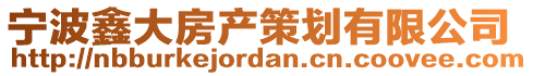 寧波鑫大房產策劃有限公司