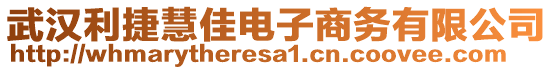 武漢利捷慧佳電子商務(wù)有限公司