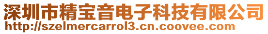 深圳市精寶音電子科技有限公司