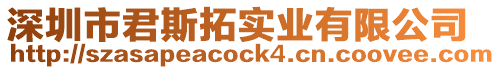 深圳市君斯拓實(shí)業(yè)有限公司