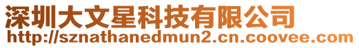 深圳大文星科技有限公司