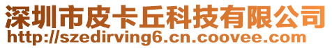 深圳市皮卡丘科技有限公司