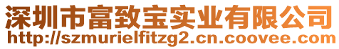 深圳市富致寶實業有限公司