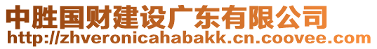 中勝國財建設廣東有限公司