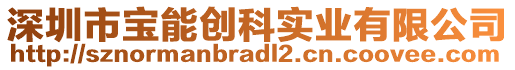 深圳市寶能創科實業有限公司
