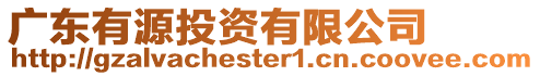 廣東有源投資有限公司