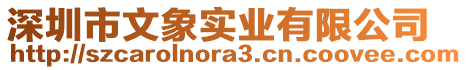深圳市文象實業有限公司