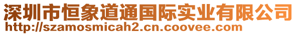 深圳市恒象道通國(guó)際實(shí)業(yè)有限公司