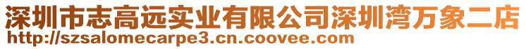 深圳市志高遠實業有限公司深圳灣萬象二店