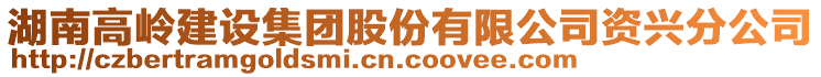 湖南高嶺建設集團股份有限公司資興分公司