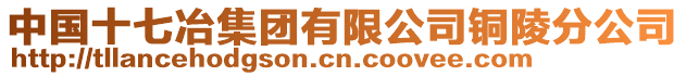 中國(guó)十七冶集團(tuán)有限公司銅陵分公司