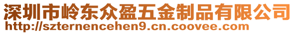 深圳市嶺東眾盈五金制品有限公司