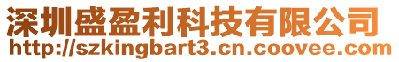 深圳盛盈利科技有限公司