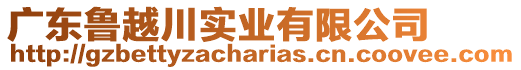 廣東魯越川實業有限公司