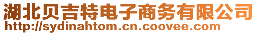 湖北貝吉特電子商務(wù)有限公司