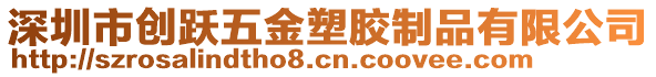 深圳市創躍五金塑膠制品有限公司