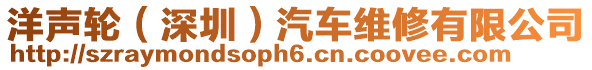 洋聲輪(深圳)汽車維修有限公司