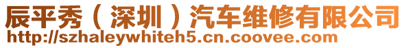 辰平秀(深圳)汽車維修有限公司