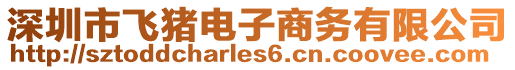 深圳市飛豬電子商務有限公司