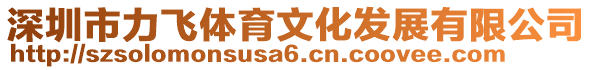 深圳市力飛體育文化發展有限公司