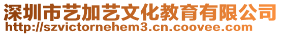 深圳市藝加藝文化教育有限公司