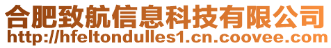 合肥致航信息科技有限公司