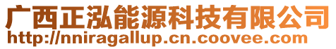廣西正泓能源科技有限公司