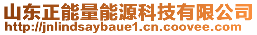 山東正能量能源科技有限公司