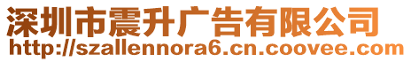 深圳市震升廣告有限公司