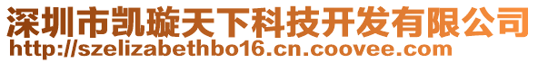 深圳市凱璇天下科技開發有限公司