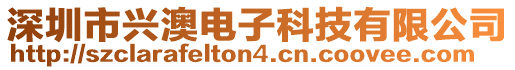 深圳市興澳電子科技有限公司