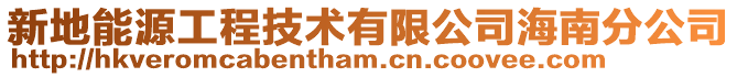 新地能源工程技術有限公司海南分公司