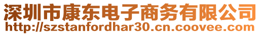 深圳市康東電子商務(wù)有限公司