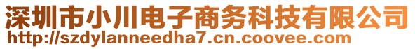 深圳市小川電子商務(wù)科技有限公司