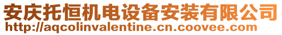 安慶托恒機電設備安裝有限公司